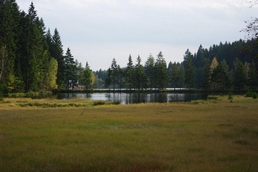 Am Fichtelsee