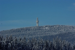 Am Schneeberg